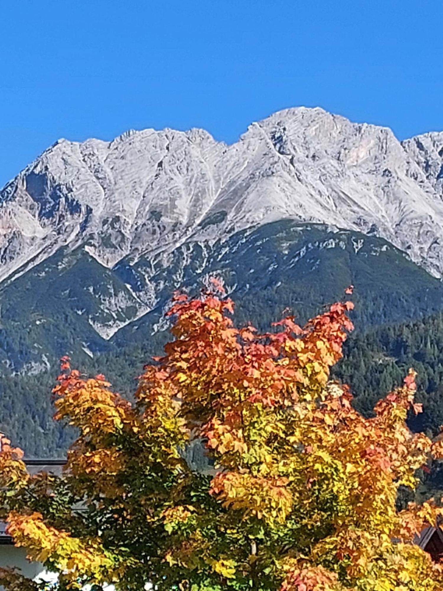 Ferienwohnungen Recherhof Hochfilzen Exterior foto